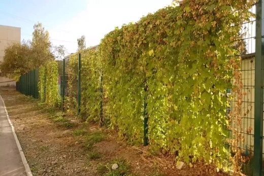 Панель 2D для забора «Everest 2D» 5.0/5.0/5.0