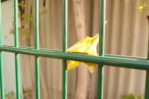 Панель 2D для забора «Everest 2D» 5.0/5.0/5.0